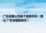 广东省佛山市属于地级市吗（佛山 广东省辖地级市）