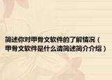 简述你对甲骨文软件的了解情况（甲骨文软件是什么请简述简介介绍）
