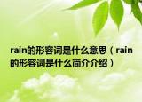 rain的形容词是什么意思（rain的形容词是什么简介介绍）