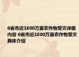 6省市近1800万亩农作物受灾详细内容 6省市近1800万亩农作物受灾具体介绍