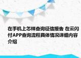 在手机上怎样查询征信报告 在云闪付APP查询流程具体情况详细内容介绍
