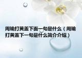 周瑜打黄盖下面一句是什么（周瑜打黄盖下一句是什么简介介绍）