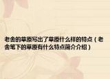 老舍的草原写出了草原什么样的特点（老舍笔下的草原有什么特点简介介绍）