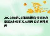 2022年8月23日最新相关报道消息 翡翠冰种原石发灰原因 是这两种原因