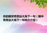 你的眼里有星辰大海下一句（眼中有星辰大海下一句简介介绍）