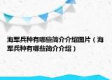 海军兵种有哪些简介介绍图片（海军兵种有哪些简介介绍）