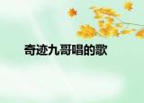 奇迹九哥唱的歌