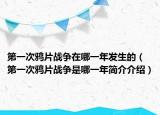 第一次鸦片战争在哪一年发生的（第一次鸦片战争是哪一年简介介绍）