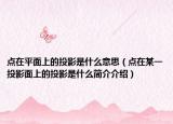 点在平面上的投影是什么意思（点在某一投影面上的投影是什么简介介绍）