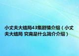 小丈夫大结局43集剧情介绍（小丈夫大结局 究竟是什么简介介绍）