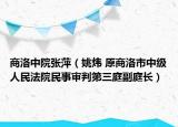 商洛中院张萍（姚炜 原商洛市中级人民法院民事审判第三庭副庭长）