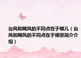 台风和飓风的不同点在于哪儿（台风和飓风的不同点在于哪里简介介绍）