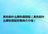 黄色和什么颜色很搭配（黄色和什么颜色搭配好看简介介绍）