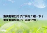 重庆有哪些电子厂简介介绍一下（重庆有哪些电子厂简介介绍）