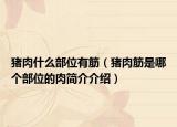 猪肉什么部位有筋（猪肉筋是哪个部位的肉简介介绍）