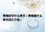 黄梅时节什么季节（黄梅是什么季节简介介绍）