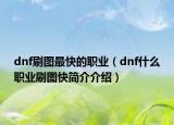 dnf刷图最快的职业（dnf什么职业刷图快简介介绍）