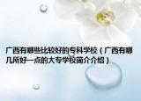 广西有哪些比较好的专科学校（广西有哪几所好一点的大专学校简介介绍）