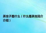 茶虫子是什么（什么是茶虫简介介绍）