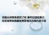 河南汝州怪鱼抓到了吗 事件后续结果已经发现怪鱼隐藏地具体情况详细内容介绍
