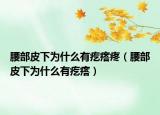 腰部皮下为什么有疙瘩疼（腰部皮下为什么有疙瘩）