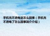 手机充不进电是怎么回事（手机充不进电了怎么回事简介介绍）