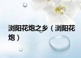 浏阳花炮之乡（浏阳花炮）