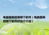 电脑看韩剧用哪个软件（电脑看韩剧哪个软件好简介介绍）