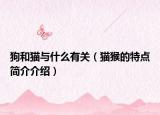 狗和猫与什么有关（猫猴的特点简介介绍）