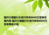 国开行原副行长何兴祥贪6636万受审详细内容 国开行原副行长何兴祥贪6636万受审具体介绍