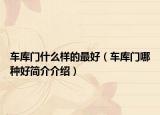 车库门什么样的最好（车库门哪种好简介介绍）