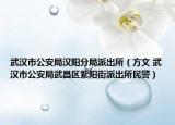 武汉市公安局汉阳分局派出所（方文 武汉市公安局武昌区紫阳街派出所民警）