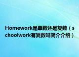 Homework是单数还是复数（schoolwork有复数吗简介介绍）