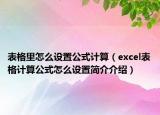 表格里怎么设置公式计算（excel表格计算公式怎么设置简介介绍）