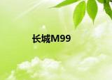 长城M99