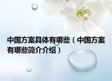 中国方案具体有哪些（中国方案有哪些简介介绍）