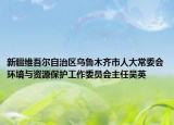 新疆维吾尔自治区乌鲁木齐市人大常委会环境与资源保护工作委员会主任吴英