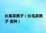 长果茶藨子（长毛茶藨子 变种）