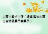 内蒙古政协主任（杨海 政协内蒙古自治区委员会委员）