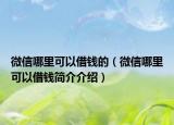 微信哪里可以借钱的（微信哪里可以借钱简介介绍）
