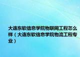 大连东软信息学院物联网工程怎么样（大连东软信息学院物流工程专业）