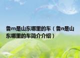 鲁m是山东哪里的车（鲁n是山东哪里的车简介介绍）