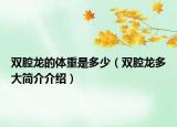 双腔龙的体重是多少（双腔龙多大简介介绍）