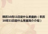 阴历10月11日是什么星座的（农历10月11日是什么星座简介介绍）
