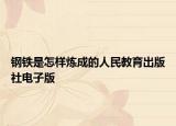 钢铁是怎样炼成的人民教育出版社电子版