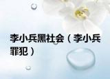 李小兵黑社会（李小兵 罪犯）