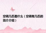 空调几匹是什么（空调有几匹的简介介绍）
