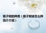 桃子树的种类（桃子树该怎么种简介介绍）