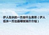 伊人在水的一方是什么意思（伊人在水一方出自哪里简介介绍）