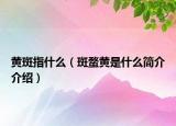 黄斑指什么（斑蝥黄是什么简介介绍）